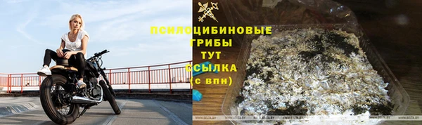 мяу мяу мука Арсеньев