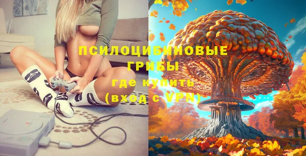 ALPHA-PVP Аркадак