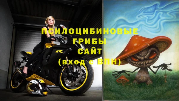 ALPHA-PVP Аркадак