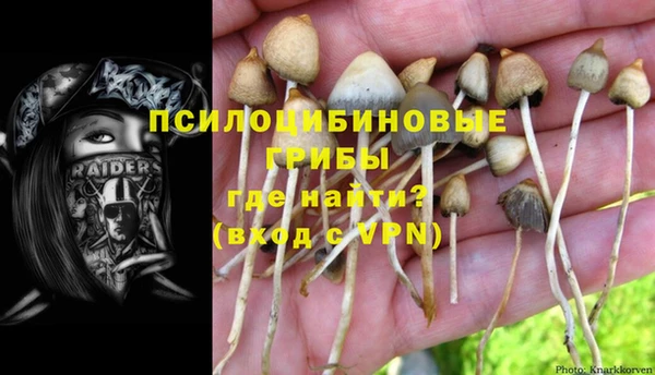 дживик Балабаново